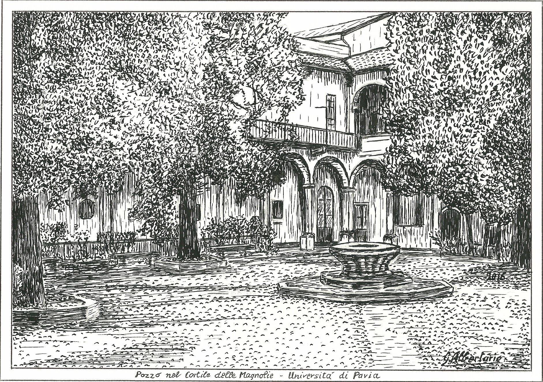 Pozzo nel cortile Magnolie Università